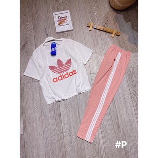 Bộ thể thao hồng cotton (ảnh thật)