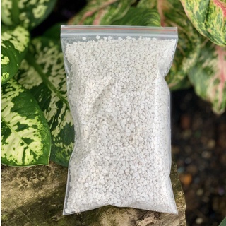 Đá perlite trân châu