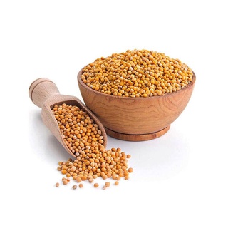 Bạch giới tử - hạt cải Tây Tạng - Cúng Khói (500gram) [PBMC]