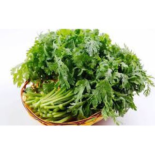 Hạt giống rau tần ô, cải cúc
