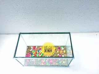 Bể cá mini viền gương ( tặng sỏi)
