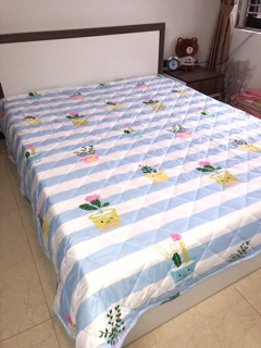 Chăn hè đũi size 2mx2m2