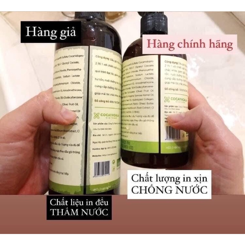 Dầu gội thảo dược hà thủ ô 2 in 1 cỏ cây hoa lá