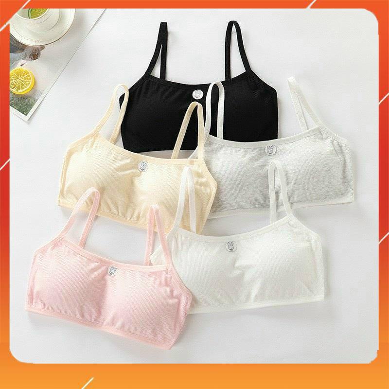 Áo lót học sinh cotton tăm cao cấp có sẵn mút đệm có thể tháo rời phù hợp với mọi dáng ngực