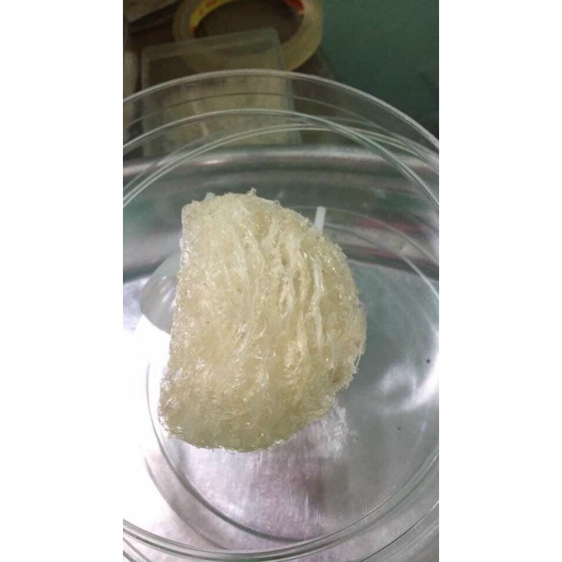 Tổ Yến tinh chế hộp 100 gram .