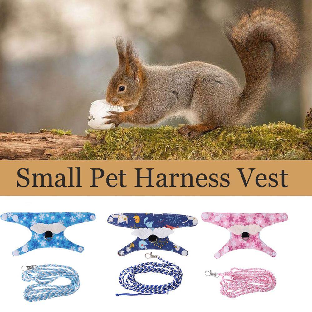 Dây Dắt Chuột Hamster Đi Dạo Thiết Kế Nhỏ Nhắn Tùy Chỉnh Tiện Dụng
