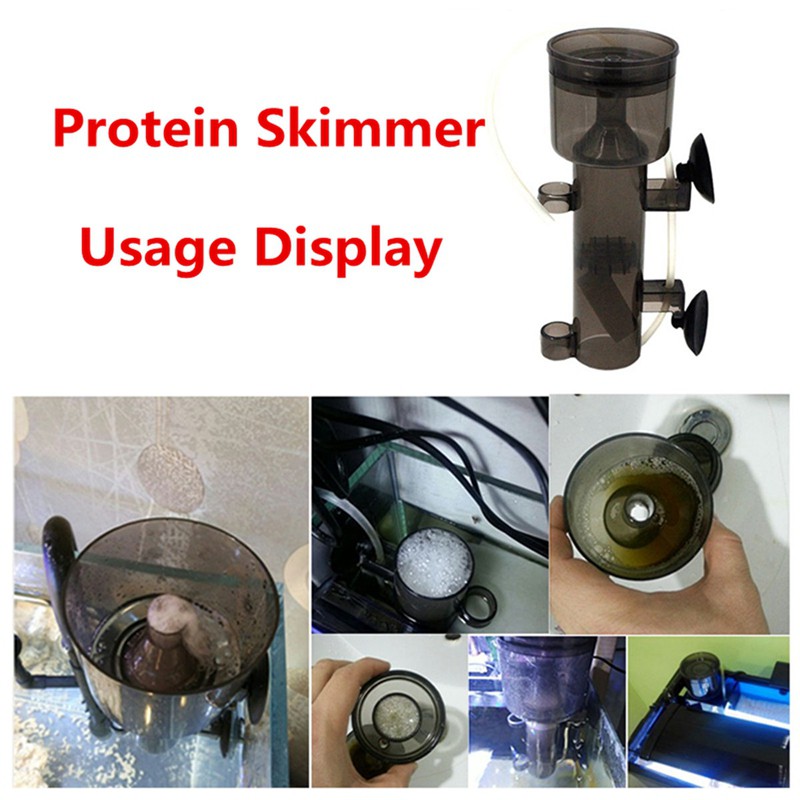 Máy hớt bọt protein skimmer treo bên trong bể san hô cá biển mini 600L/H Mini động cơ ống đá không khí gỗ