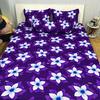 Drap thun Hàn Quốc