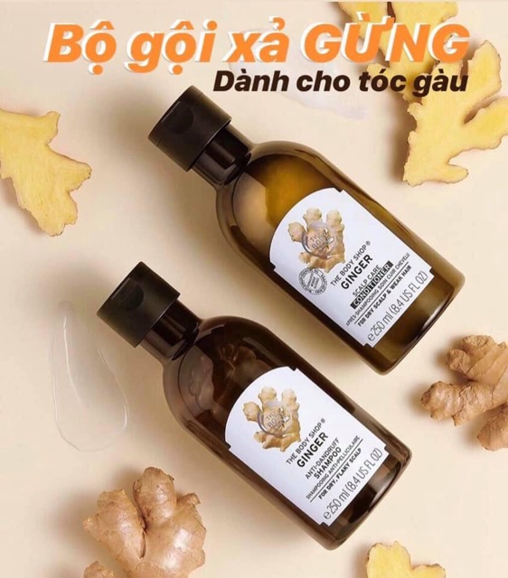 Dầu gội gừng the body shop trị gàu