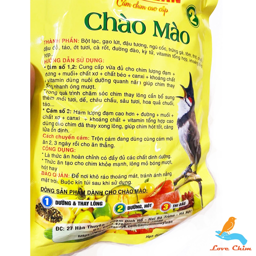 Cám chim, Cám chim chào mào 2, Cám chim Thúy Tuấn số 2, Cám Thúy Tuấn chào mào số 2