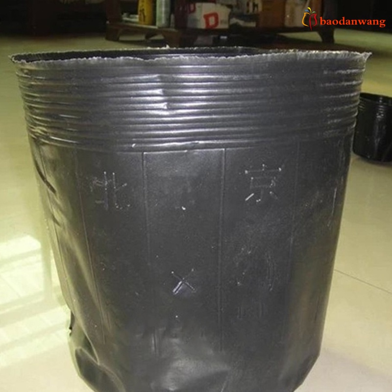 Bộ 50 chậu nhựa ươm mầm trồng cây chất lượng