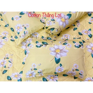 SET 5 MÓN{Size drap 1m6,1m8} Vải Thắng Lợi có in logo (inbox chọn mẫu)