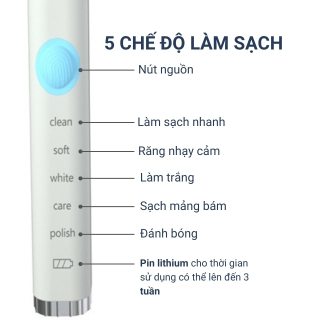 Bàn Chải Điện Đánh Răng 5 Chế Độ Sonic Kèm 4 Đầu Chải Làm Sạch Sâu Làm Trắng Răng Tự Nhiên XQMQ