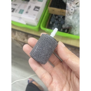 Quả sủi Oxy cho bể cá cảnh