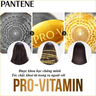Dầu gội Pantene 900g