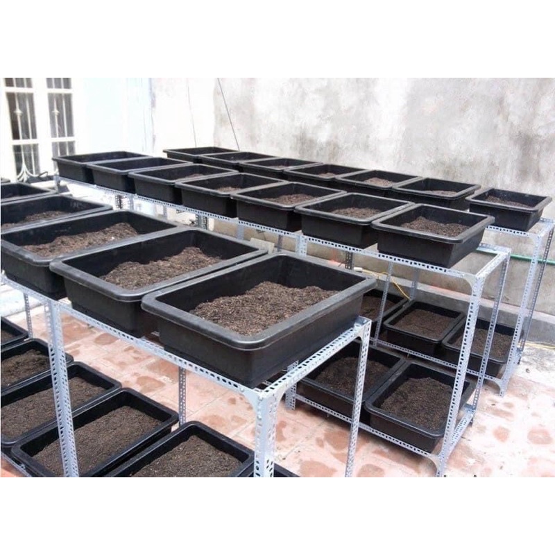 1KG Đất trồng cây đã trộn đủ dinh dưỡng cho cây