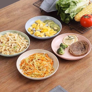 Set đĩa lúa mạch (Mix 6 màu)