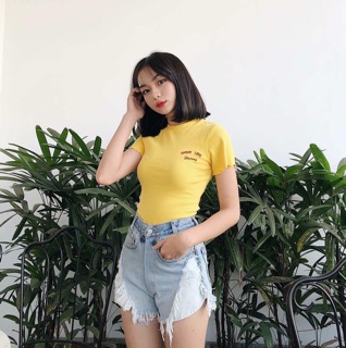 Áo crotop thêu chữ