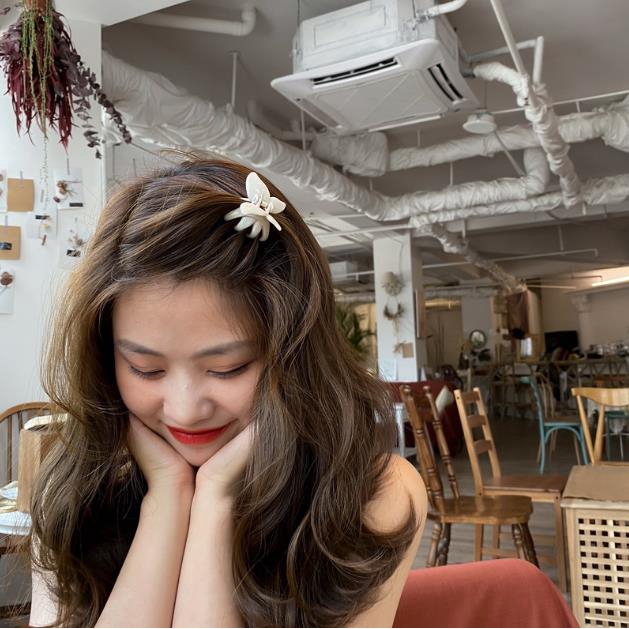 Kẹp Tóc Hình Bươm Bướm Chất Liệu Acrylic Phong Cách Hàn Quốc