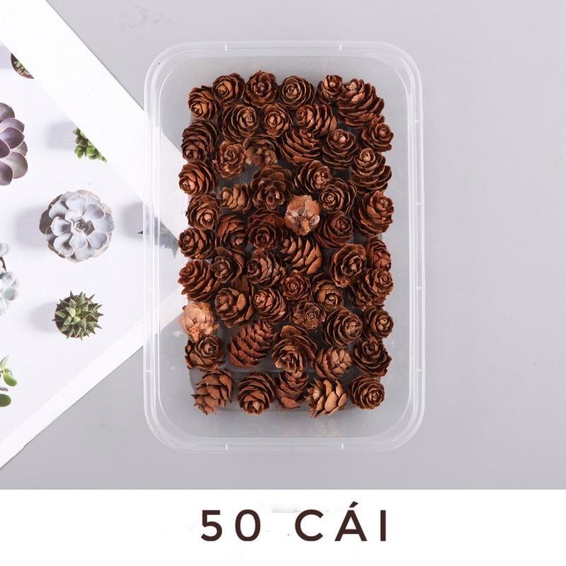 Vật liệu hoa khô/chanh khô/quế