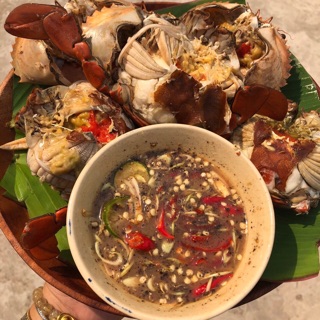Muối tiêu sữa bò pha sẵn