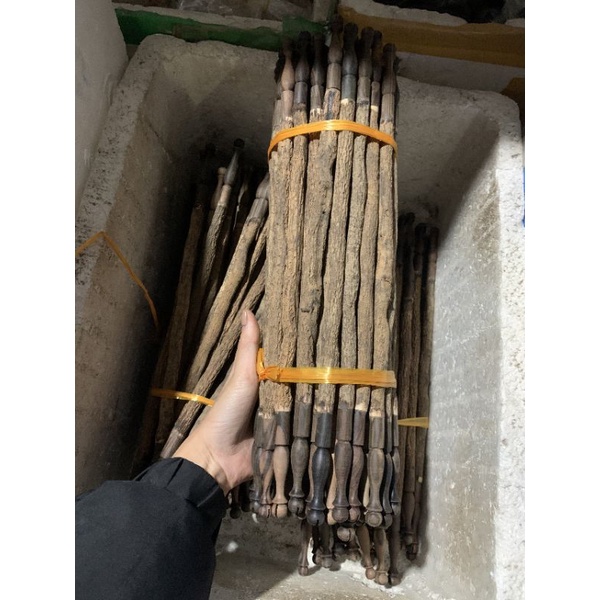 Cầu th u ốc thẳng 37