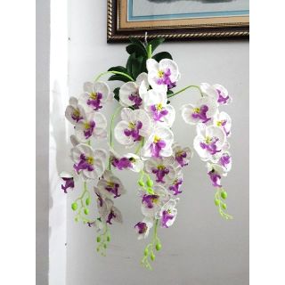 Giỏ hoa lan treo tường (nhiều màu) trang trí