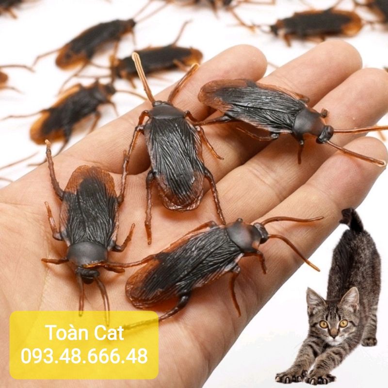 GIÁN ĐỒ CHƠI CHO CHÓ MÈO- NHƯ GIÁN THẬT