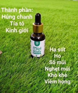 Dầu húng chanh