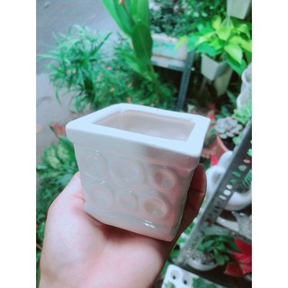 Chậu Trồng Cây (cao 7cm, ngang 7cm)