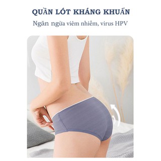 Quần chip kháng khuẩn Nhật Bản