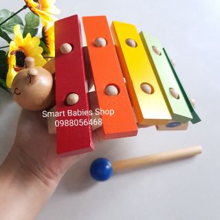 Đàn hình rùa winwintoys