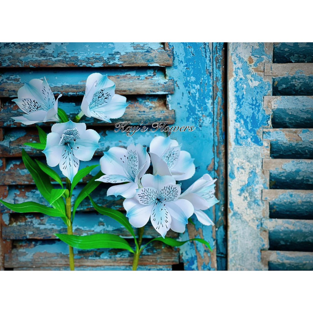 Khuôn cắt làm hoa ly Peru