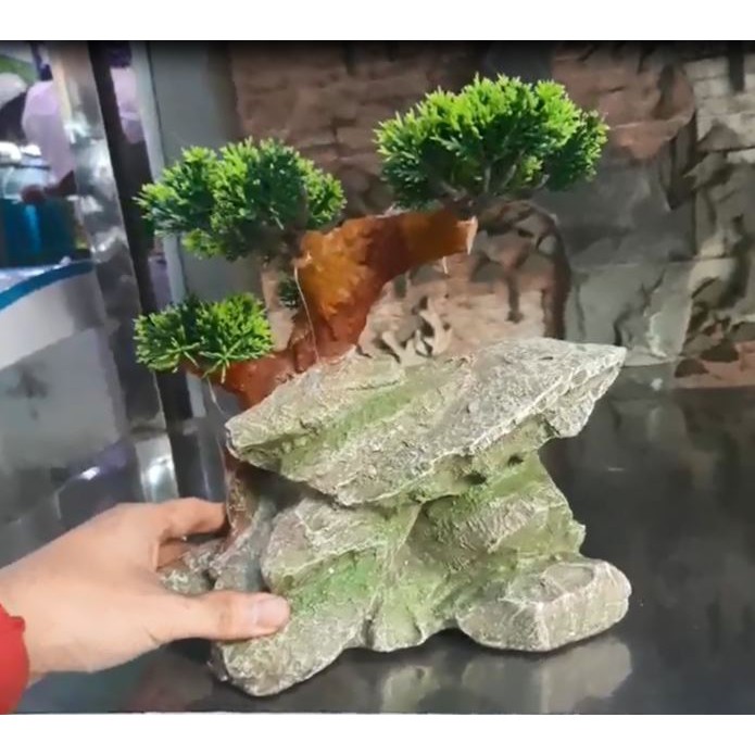 Mô hình mẫu cây trên vách đá sử dụng cho bể cá cảnh thủy sinh