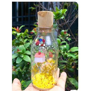 combo hủ tiểu cảnh quà tặng trang trí