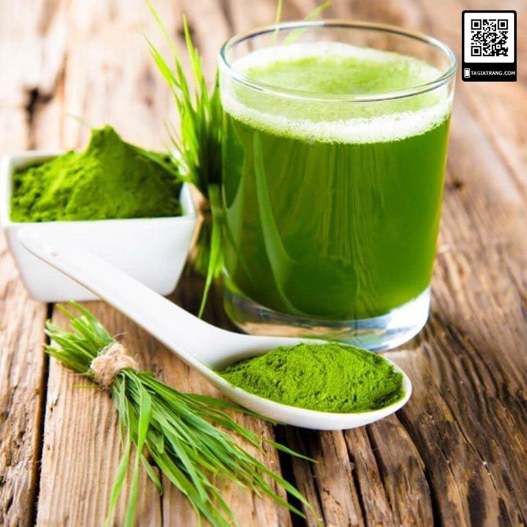 [RẺ VÔ ĐỊCH] Hạt giống mầm lúa mạch - Gói 100g