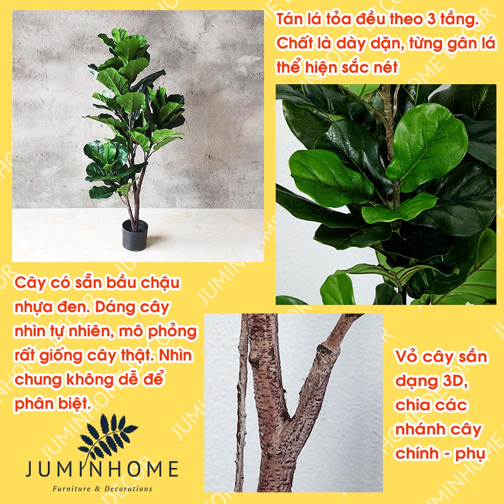 Cây giả, cây bàng singapore giả - Cây giả decor trang trí nhà cửa nội thất phòng khách phòng ngủ