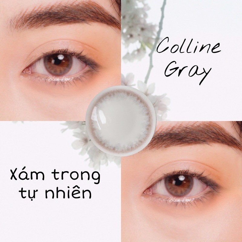 Kính áp tròng cận Blue Eyes  - COLLINE GRAY - Lens giãn nhẹ màu Xám tự nhiên có viền - nội địa Hàn