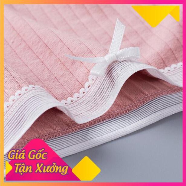 Quần Lót Cotton Tăm Viền Ren xuất Nhật 5362