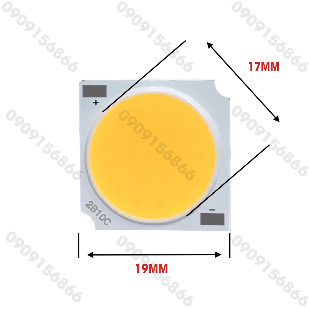 Mắt led cob 20w