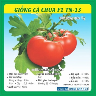 Hạt giống Cà chua TN-13