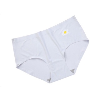 Combo 10 quần đúc hình cúc hoạ mi