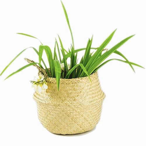 Giỏ Cói Đựng Đồ - Chậu Cói Trồng Cây - Sedge Basket | Tre Việt