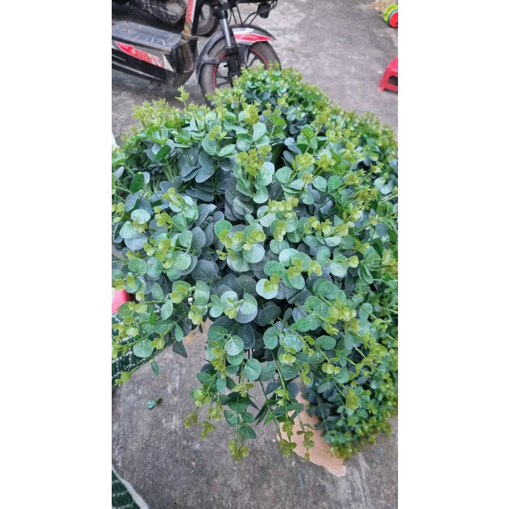 Cụm Lá Táo 16 Nhánh Cắm Trang Trí | Hà Hoa Flower
