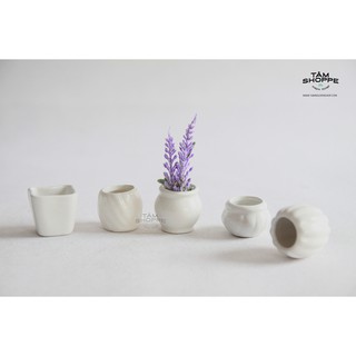 Set 5 Chậu gốm nhí màu trắng Số 09 (nhiều kiểu) TTTM
