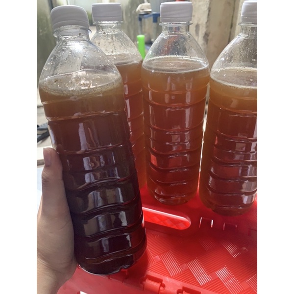 Mật ong Daklak hàng nguyên chất