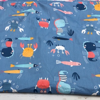 Vải thô lụa đơn 4 - 6m