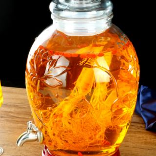 Bình Thủy Tinh Cá Chép 15L