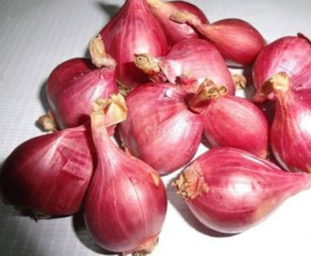 Bột quế/tỏi/hành tím/riềng 50g