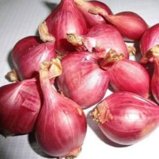 Bột quế/tỏi/hành tím/riềng 100g